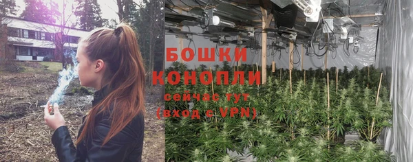 PSILOCYBIN Иннополис