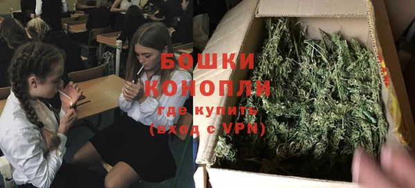 PSILOCYBIN Иннополис