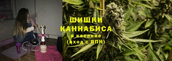 PSILOCYBIN Иннополис
