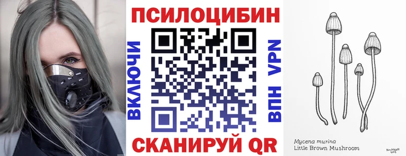 Купить где  Димитровград  Псилоцибиновые грибы Magic Shrooms 