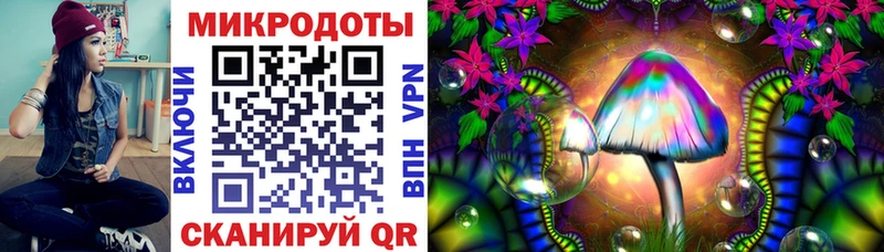 Галлюциногенные грибы Psilocybine cubensis Димитровград